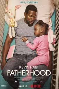 Fatherhood - Poster