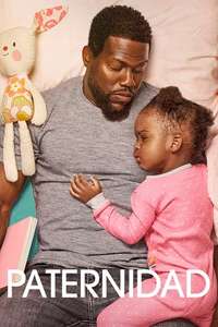Fatherhood - Poster