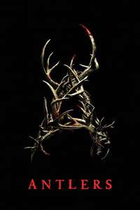 Antlers - Posters