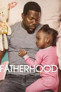 Fatherhood - Poster