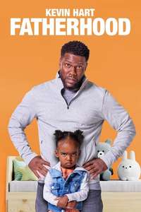 Fatherhood - Poster