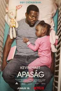 Fatherhood - Poster