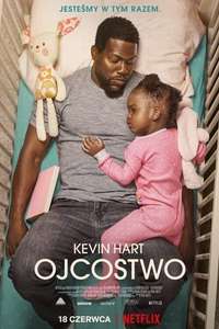 Fatherhood - Poster