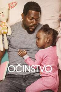 Fatherhood - Poster