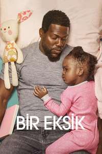 Fatherhood - Poster