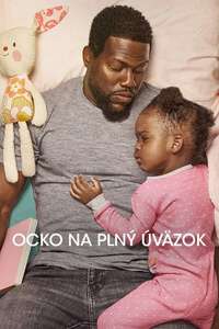Fatherhood - Poster