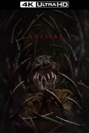Antlers