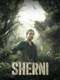Sherni