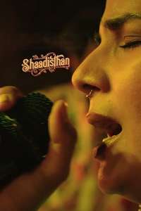 Shaadisthan - Posters