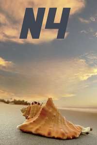 N4 - Poster