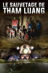 The Cave - Poster