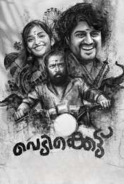 Vedikkettu