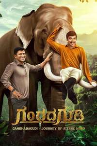 Gandhada Gudi - Poster