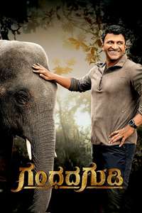 Gandhada Gudi - Poster