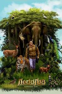 Gandhada Gudi - Poster