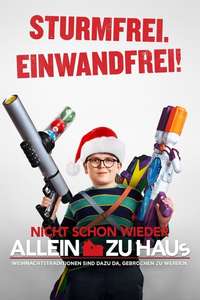 Home Sweet Home Alone - Posters