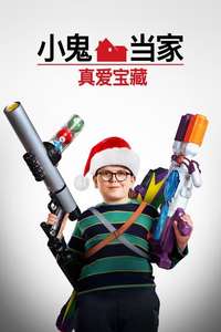 Home Sweet Home Alone - Posters
