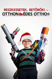 Home Sweet Home Alone - Posters