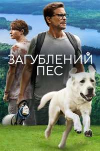 Dog Gone - Poster