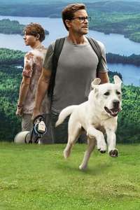 Dog Gone - Poster