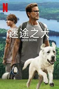 Dog Gone - Poster