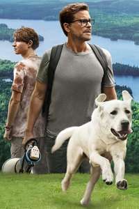 Dog Gone - Poster