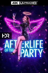 Afterlife of the Party - Poster