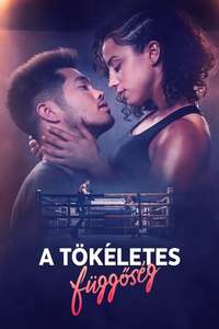 Perfect Addiction - Poster