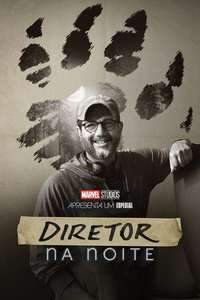 Director by Night - Posters