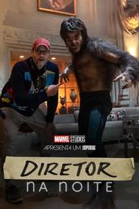 Director by Night - Posters