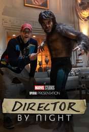 Director by Night