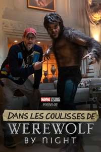 Director by Night - Posters