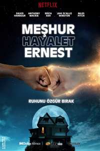 We Have a Ghost - Poster