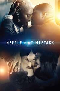 Needle in a Timestack - Poster