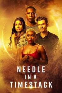 Needle in a Timestack - Poster