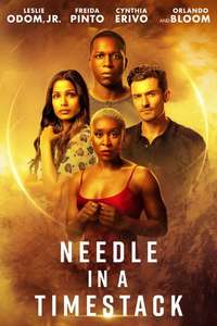 Needle in a Timestack - Poster