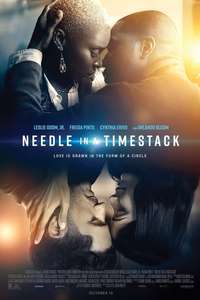 Needle in a Timestack - Poster