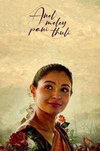 Anel Meley Panithuli - Poster