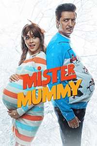 Mister Mummy - Posters