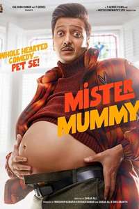 Mister Mummy - Posters