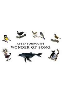 Attenborough's Wonder of Song - Posters
