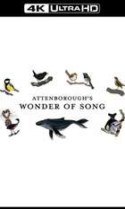Attenborough's Wonder of Song