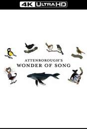 Attenborough's Wonder of Song