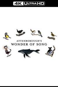 Attenborough's Wonder of Song - Posters