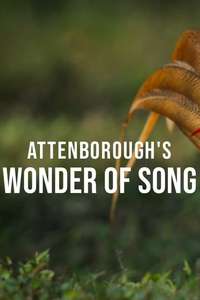 Attenborough's Wonder of Song - Posters