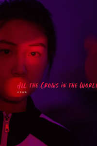 All the Crows in the World - Poster