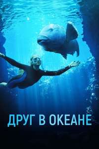 Blueback - Posters