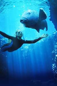Blueback - Posters