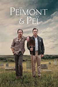 Raymond & Ray - Poster