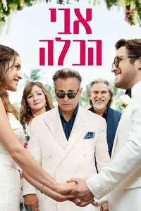 Father of the Bride - Poster